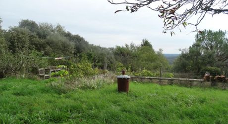   Région Cahors, Charmante Maison en Pierre avec Dépendances, Terrasse, Terrain de Pétanque et 3 Hectares de Terrain