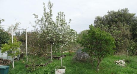   Région Cahors, Charmante Maison en Pierre avec Dépendances, Terrasse, Terrain de Pétanque et 3 Hectares de Terrain