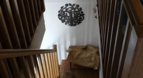   Région Cahors, Charmante Maison en Pierre avec Dépendances, Terrasse, Terrain de Pétanque et 3 Hectares de Terrain