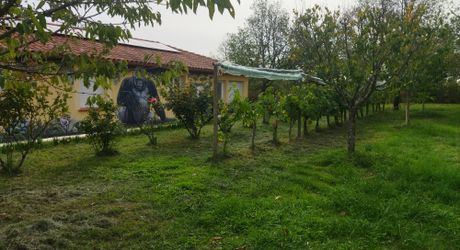 Cahors sud - Maison plain pied -jardin-garage