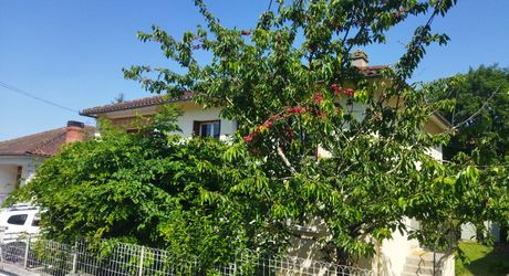 Cahors Centre Résidentiel Maison Jardin  