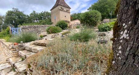Propriété de caractère sur le Causse de Labastide-Murat – 10 hectares de nature et piste d'atterrissage privée