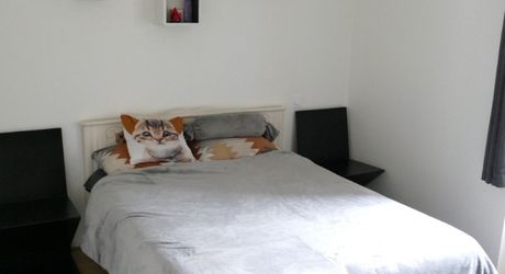 T3 a louer centre ville de Gramat