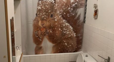 Secteur Gramat, maison avec dépendances et beau potentiel d’aménagement.