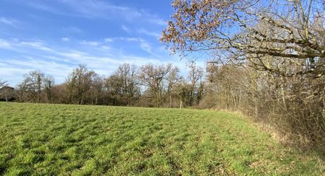 Secteur Gramat, terrain constructible avec bois – Bel environnement