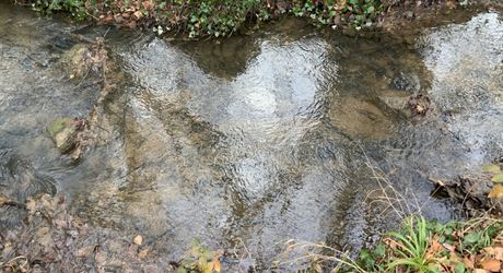 Maison en bois 5 pièces de plain-pied avec grand terrain à Cazals