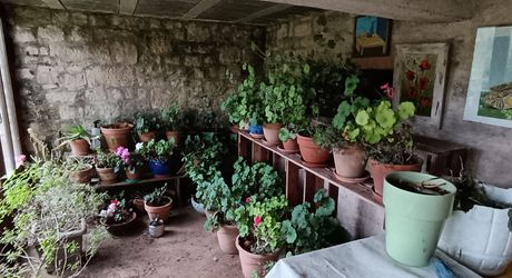 A vendre secteur Gramat, maison familiale en pierre avec terrasse couverte, terrain arboré et dépendances.