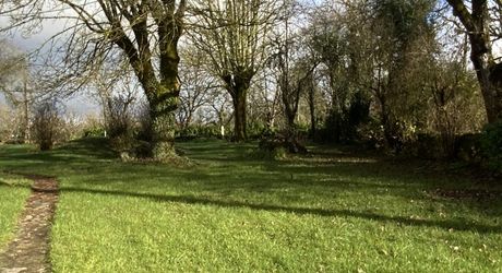 A vendre secteur Gramat, maison familiale en pierre avec terrasse couverte, terrain arboré et dépendances.