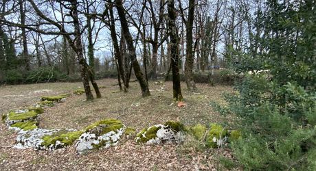 Single-storey house measuring 124m², flat land on the Causse plateau.