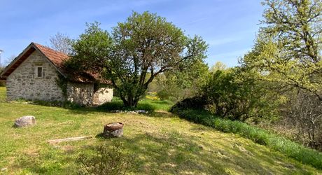 For sale, sector Coeur de Causse, real estate nestled in lush greenery, ideal for family project or potential tourist accommodation.