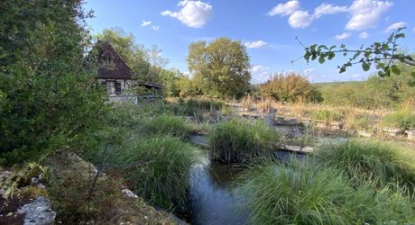 Gramat sector – Authentic Quercy longère in a preserved environment.