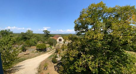 Secteur Gramat, maison de caractère du XIXe siècle avec piscine, dépendances et grange réhabilitable.