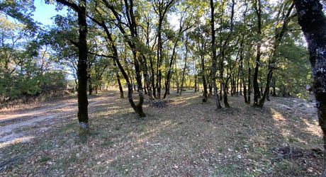 Sector Livernon, detached house with potential development and land of 11,730 m 2