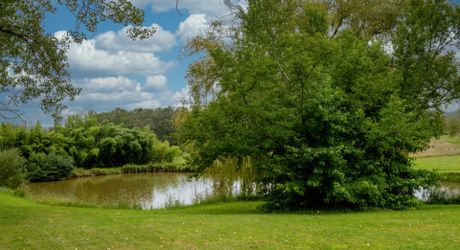 Secteur Cazals, au calme, Magnifique propriété de caractère avec gîte, piscine, étang et dépendances sur 4,7 hectares.