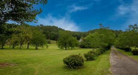 Secteur Cazals, au calme, Magnifique propriété de caractère avec gîte, piscine, étang et dépendances sur 4,7 hectares.
