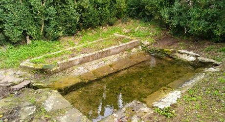 Secteur Cazals, au calme, Magnifique propriété de caractère avec gîte, piscine, étang et dépendances sur 4,7 hectares.