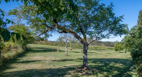 Secteur Cazals, au calme, Magnifique propriété de caractère avec gîte, piscine, étang et dépendances sur 4,7 hectares.
