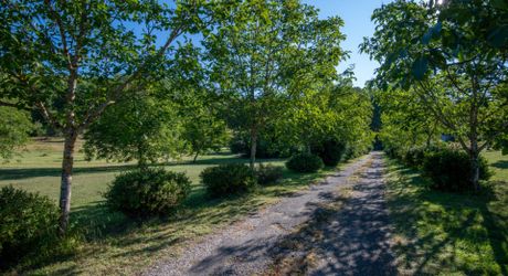 Secteur Cazals, au calme, Magnifique propriété de caractère avec gîte, piscine, étang et dépendances sur 4,7 hectares.