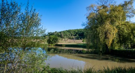 Secteur Cazals, au calme, Magnifique propriété de caractère avec gîte, piscine, étang et dépendances sur 4,7 hectares.