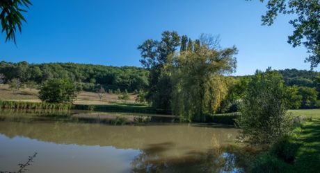 Secteur Cazals, au calme, Magnifique propriété de caractère avec gîte, piscine, étang et dépendances sur 4,7 hectares.