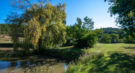 Secteur Cazals, au calme, Magnifique propriété de caractère avec gîte, piscine, étang et dépendances sur 4,7 hectares.