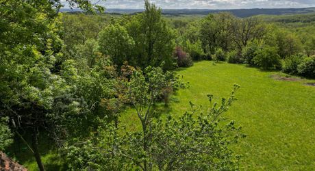 Sur les hauteurs de la vallée du Céou, bel ensemble de 2 maisons et piscine sur terrain de 7000m².