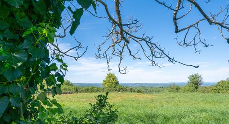 Authentique propriété quercynoise avec pigeonnier, granges en pierre et vues panoramiques près de Payrac.