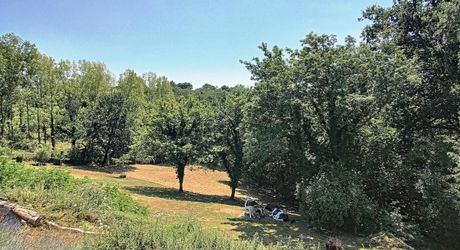 PROPRIÉTÉ TRADITIONNELLE EN PIERRE CHARMANTE COMPRENANT MAISON PRINCIPALE, MAISON D'HÔTES, UN APPARTEMENT, PISCINE, JARDINS LUXURIANTS ET BELLES VUES SUR LE BOIS SUR 1,25 HA (3 Acres) PF90323