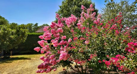 PROPRIÉTÉ TRADITIONNELLE EN PIERRE CHARMANTE COMPRENANT MAISON PRINCIPALE, MAISON D'HÔTES, UN APPARTEMENT, PISCINE, JARDINS LUXURIANTS ET BELLES VUES SUR LE BOIS SUR 1,25 HA (3 Acres) PF90323