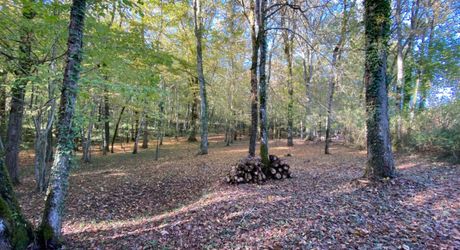 BELLE MAISON DE 4 CHAMBRES AVEC PISCINE EN TERRASSE, POOLHOUSE, 2 GARAGES, ABRI VOITURES, VUES BUCOLIQUES. 1 HECTARE DE TERRAIN. PROCHE DE ST ALVERE. PF90325