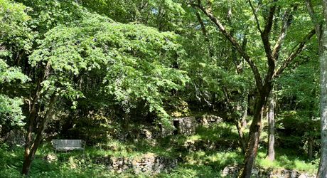 UNE PROPRIÉTÉ CAPTIVANTE COMPRENANT UNE IMPRESSIONNANTE MAISON PRINCIPALE, UNE TOUR ET UN STUDIO APPARTEMENT, 2 BELLES MAISONS D'AMIS, PISCINE ET GARAGE, SUR PLUS DE 7 HECTARES AVEC UNE VUE À COUPER LE SOUFFLE, ENTRE LES EYZIES ET SARLAT. PF90328