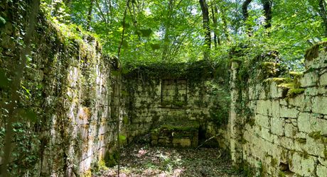 UNE PROPRIÉTÉ CAPTIVANTE COMPRENANT UNE IMPRESSIONNANTE MAISON PRINCIPALE, UNE TOUR ET UN STUDIO APPARTEMENT, 2 BELLES MAISONS D'AMIS, PISCINE ET GARAGE, SUR PLUS DE 7 HECTARES AVEC UNE VUE À COUPER LE SOUFFLE, ENTRE LES EYZIES ET SARLAT. PF90328