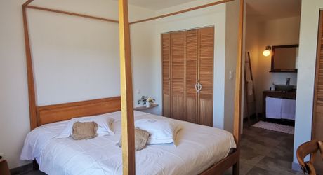 Magnifique truffière et ses chambres d'hôtes au coeur du Périgord Noir.