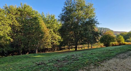 LES EYZIES - Propriété de charme offrant 240m² habitables et piscine au calme sur 1 hectare.