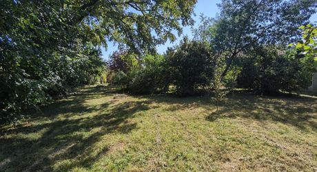 Old stone farmhouse with its garden and 2 hectares of land