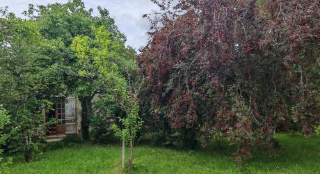 Old stone farmhouse with its garden and 2 hectares of land
