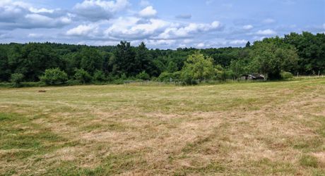 Old stone farmhouse with its garden and 2 hectares of land