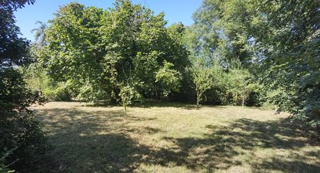 Old stone farmhouse with its garden and 2 hectares of land
