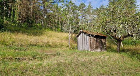 Maison périgourdine et belle vue sur 1,2 hectare
