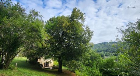 Maison périgourdine et belle vue sur 1,2 hectare