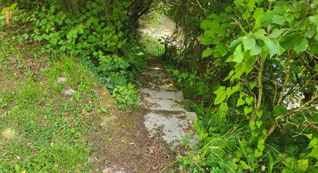Maison périgourdine et belle vue sur 1,2 hectare