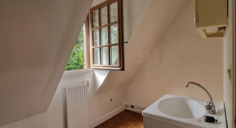 Maison contemporaine, chalets en bois et terrain boisé d'un hectare
