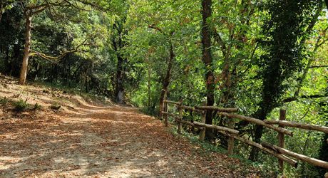 Situation privilégiée pour cette propriété avec vue sur la Vallée de la Vézère