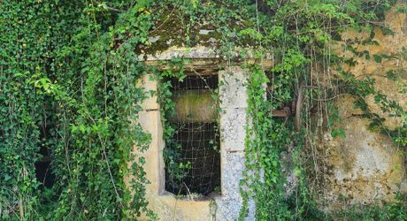 Situation privilégiée pour cette propriété avec vue sur la Vallée de la Vézère