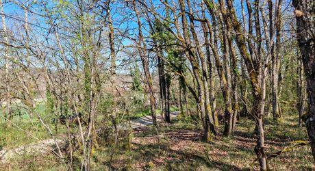 Terrain constructible boisé sur 2500m²