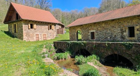 Moulin et ses 2 maisons isolés au coeur des bois