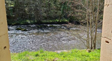 Moulin et ses 2 maisons isolés au coeur des bois