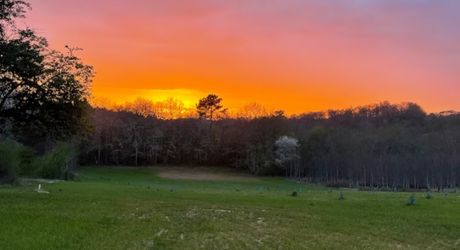 Magnifique propriété d'exception entre Périgueux et Bergerac