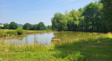 Corps de ferme en U et ses 15 hectares de bois et de pré