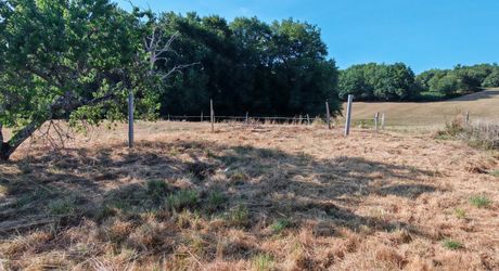 Entre Hautefort et Terrasson, maison rénovée en 2024 sur 2000m² de terrain